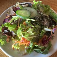 Green salad with options of vegan dressing- citrus or onion   at Mountain Brauhaus in Gardiner