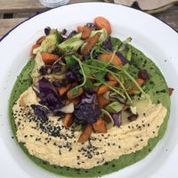   at Wild Root in Southport