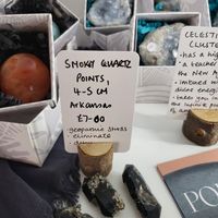  at Wild Root in Southport