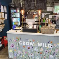  at Wild Root in Southport