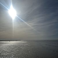   at Wild Root in Southport