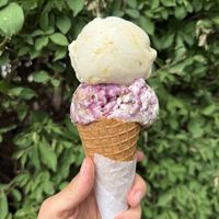   at Buttercreme in London