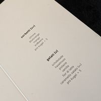 sorbets and gelati at Piu in Bern