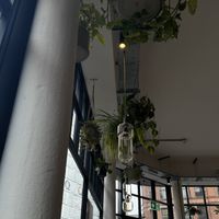   at The Green Lab in Manchester