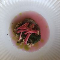   at SEPIA in Groningen