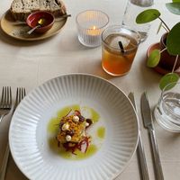 Starter  at SEPIA in Groningen