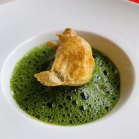   at SEPIA in Groningen