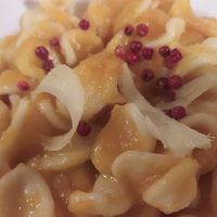 Orecchiette alla crema di zucca, zenzero e pepe rosa at il Mercante in Pisa