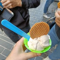 The cookie with it was vegan. The cones aren't tho at Gelato Maxzim in Oostende