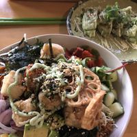 Vegan poke bowl with tofu and veg gyoza   at Kaze Bento in Mount Lawley