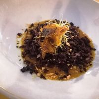 Vegan - 7 course menu at Planet Catering in Jesolo