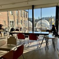 Atmosphere   at Holy Cow Lounge in Edinburgh