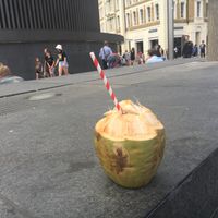 My coconut drink from Mel's at Mel Tropical Kitchen - Euston Rd in North London