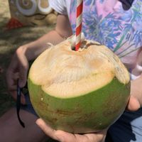 Coconut (drink it & then get it cut up to eat the flesh)   at Mel Tropical Kitchen - Euston Rd in North London