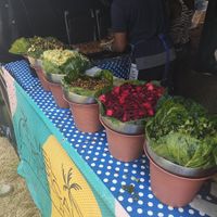  at Mel Tropical Kitchen - Euston Rd in North London