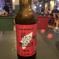   at Taqueria Muchachos in Rhodes