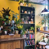  at Curran Geal in Edinburgh