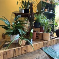   at Curran Geal in Edinburgh