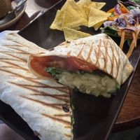 Mac daddy   at Curran Geal in Edinburgh