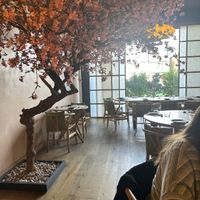   at KUSAKI in Brighton