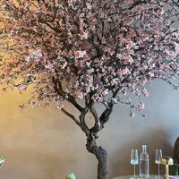   at KUSAKI in Brighton