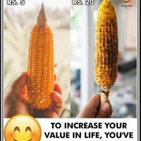  at Indian BBQ in Zurich