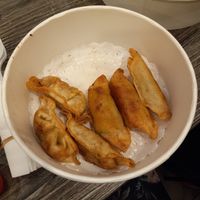 Fried dumplings at O Dumpling Bar in Anaheim