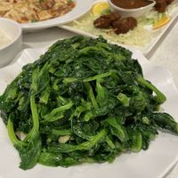   at Po Lin Vegetarian - 普蓮素食 in New Territories