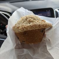 Lemon Blueberry Muffin at Mud Pie Vegan Bakery and Coffee in Kansas City