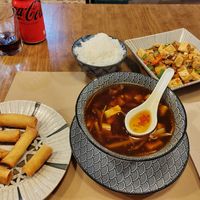 Sweet and sour soup - veganized, mapo tofu, veggy spring rolls at Mr Wang in Santander