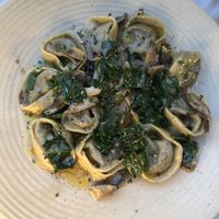 Wild mushroom tortelli  at Gia in Toronto