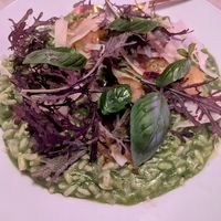 Rissotto at Gia in Toronto