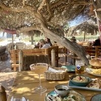   at Cedar Cafe in Naxos