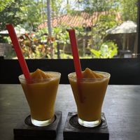   at Thyrorin Village Cafe ちろりん村 in Taketomi