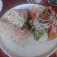 Falafel wrap with side salad at Fresh Earth Food Store in Johannesburg