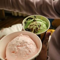 Guava ice cream and mint chocolate ice  cream at Always Happy Food co. in Kathmandu