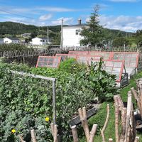  at Two Whales Coffee Shop in Port Rexton