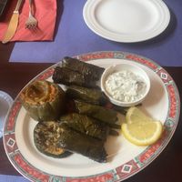 All vegan dolma and tsaziki  at Tekinev in Groningen