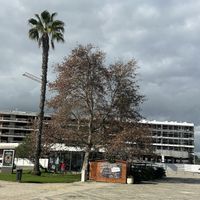 Pity about the new development behind it spoiling the vista   at Munich in Lagos