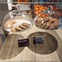  at FCO - Natoo in Fiumicino