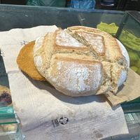 Plant based cutlet sandwich   at FCO - Natoo in Fiumicino