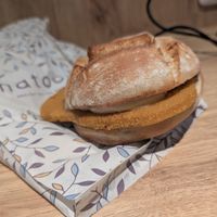  at FCO - Natoo in Fiumicino