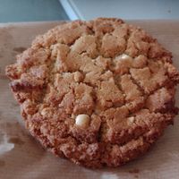  at Gorilla in Berlin