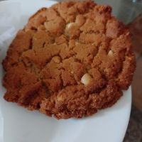  at Gorilla in Berlin