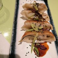 Gyoza / dumplings at Veganees in Amsterdam