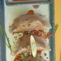 Gyoza at Veganees in Amsterdam