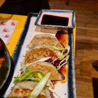 Gyozq at Veganees in Amsterdam