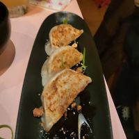 Gyōza at Veganees in Amsterdam