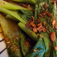  at Veganees in Amsterdam