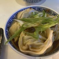 Wontons   at Veganees in Amsterdam